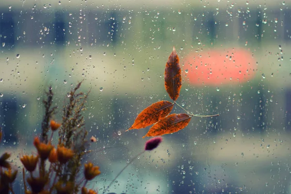 Imagen Tono Vintage Gota Lluvia Sobre Vidrio Nebuloso Con Hoja — Foto de Stock