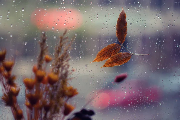 Imagen Tono Vintage Gota Lluvia Sobre Vidrio Nebuloso Con Hoja — Foto de Stock