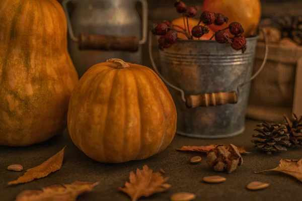 Schönes Herbstliches Gemütliches Stillleben Kürbisse Herbstblätter Äpfel Und Ähren Auf — Stockfoto