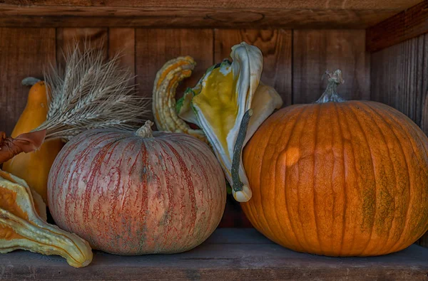 Poboczny Farmstand Kalifornii Usa Wsi Wiele Dynie Sprzedaż Jesienią Widok — Zdjęcie stockowe