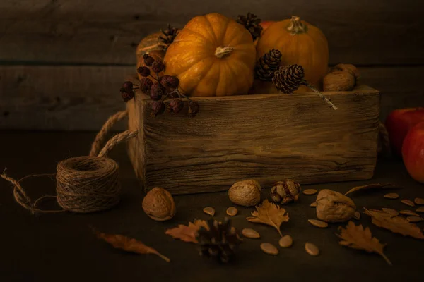 Comida Orgânica Legumes Frescos Frutas Caixa Velha Tábua Castanha Caixa — Fotografia de Stock