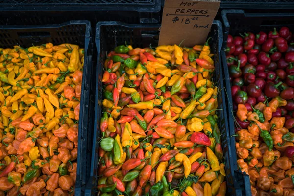 Farmer\'s market California, USA. Concept of fresh organic food market. Chilli for sale in market. Colorful chili peppers on display at a farmers shop. Organic vegetable. Bio and eco food.