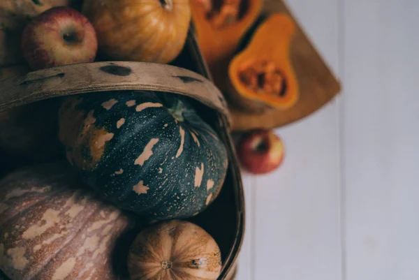 Fall Vegetables White Rustic Boards Autumn Decorations Vintage Wicker Basket — Stock Photo, Image