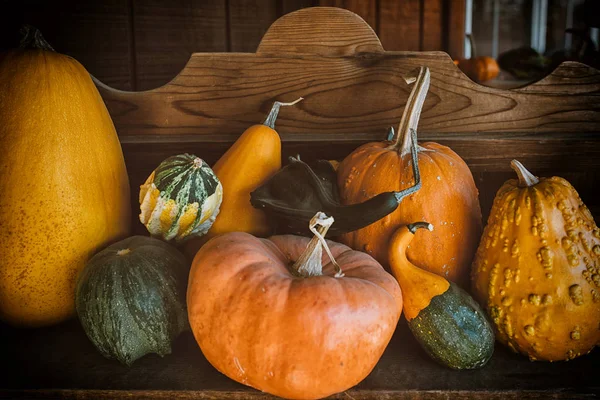 Poboczny Farmstand Kalifornii Usa Wsi Wiele Dynie Sprzedaż Jesienią Widok — Zdjęcie stockowe