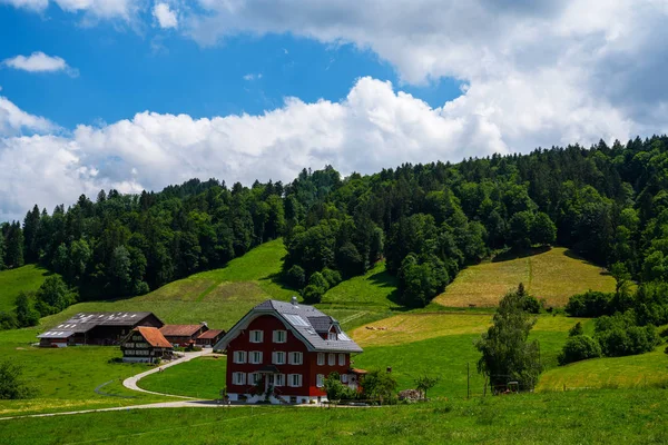 阿尔卑斯山田园诗般的山景五颜六色 夏天美丽的一天 新鲜的绿色草地 联合国教科文组织生物圈保护区Entlebuch是卢塞恩附近完美的减速热点 — 图库照片