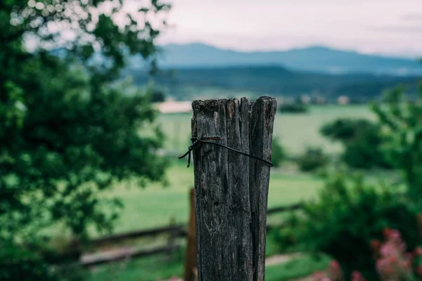 Wooden old fence post and flowers with green field and mountain landscape in the background. Alpes-de-Haute-Provence, France. Eco tourism.