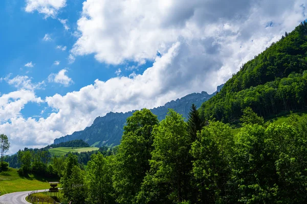 Zwitserland Bergen Natuur Concepten Reizen Wanderlust Weiden Van Groen Gras — Stockfoto