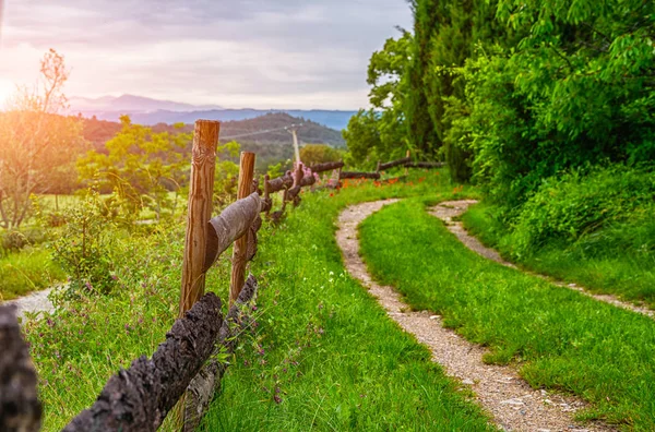 Paisagem Rural Pitoresca Nascer Sol Campo França Com Campo Verde — Fotografia de Stock