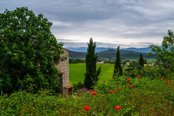 The concept of ecological tourism. Old building with climber plants. Ecology and green living environment concept. Picturesque rural with summer landscape. Alpes-de-Haute-Provence, France.