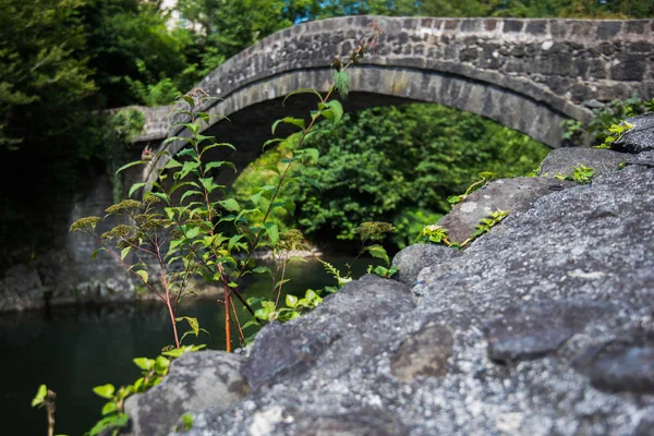 Nehir Üzerindeki Eski Tarihi Taş Köprü — Stok fotoğraf