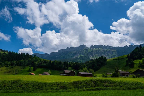 Krásný Výhled Přírodu Zelenou Loukou Úbočí Hory Nedaleko Lauterbrunnen Pohoří — Stock fotografie