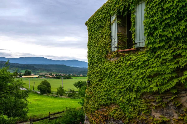 Eco architecture. Old stone house with plants on the facade. Ecology and green living in countryside, environment concept. Old building covered green plant. Ecological concept.