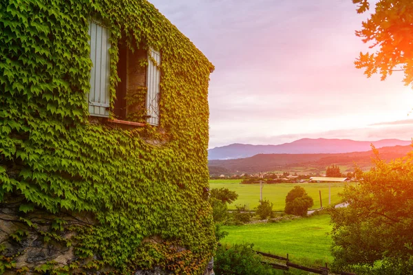 Eco architecture. Old beautiful stone house with plants on the facade. Ecology and green living in countryside, environment concept. Old building covered green plant. Ecological concept.