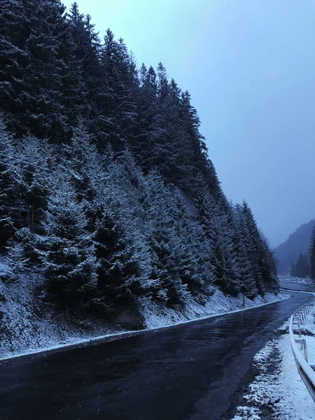 Floresta Montanha Inverno Com Abetos Cobertos Neve Bela Paisagem Inverno — Fotografia de Stock