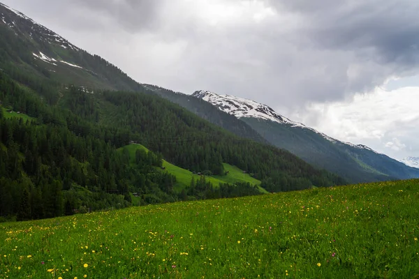 スイス 山と自然旅行と放浪に関する概念 巨大な雲と夏の雨の後 スイスの山々の緑の草や花の草原 旅行と休暇のコンセプト — ストック写真