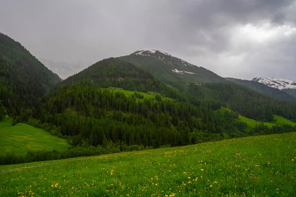Pestrý Pohled Idylickou Horskou Krajinu Alpách Čerstvými Zelenými Loukami Krásného — Stock fotografie