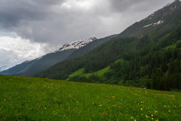 Vista Colorida Paisagem Montanhosa Idílica Nos Alpes Com Prados Verdes — Fotografia de Stock