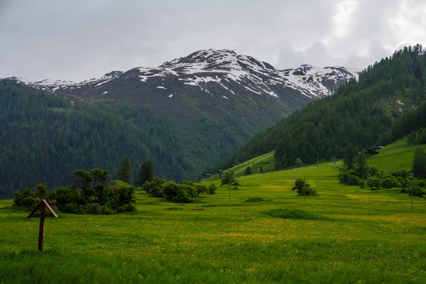 Vista Colorida Del Idílico Paisaje Montañoso Los Alpes Con Prados —  Fotos de Stock