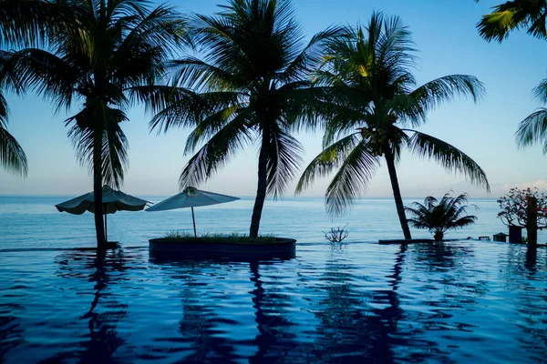 靠近海洋的带棕榈树的游泳池 酒店和度假村的室外游泳池 日落时分在蓝天上种植椰子树 在热带度假 豪华假期 — 图库照片