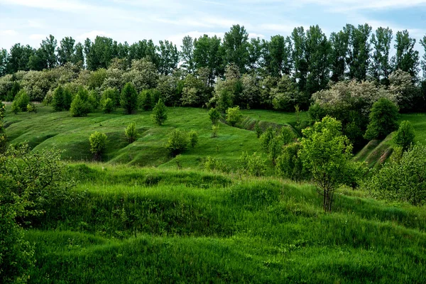 Les Collines Dans Herbe Printemps — Photo