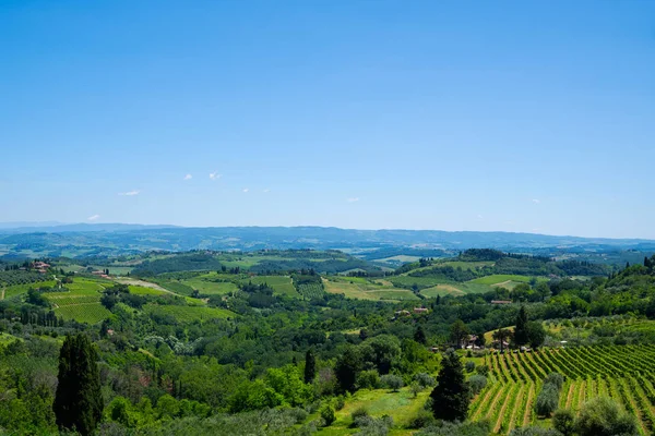 Nádherná Krajina Vinic Oblast Chianti Letní Sezóně Výhled Venkov Vinice — Stock fotografie