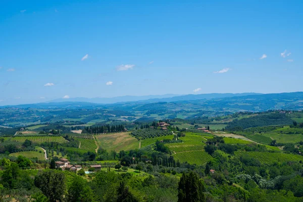 Bellissimo Paesaggio Vigneti Regione Del Chianti Nella Stagione Estiva Vista — Foto Stock