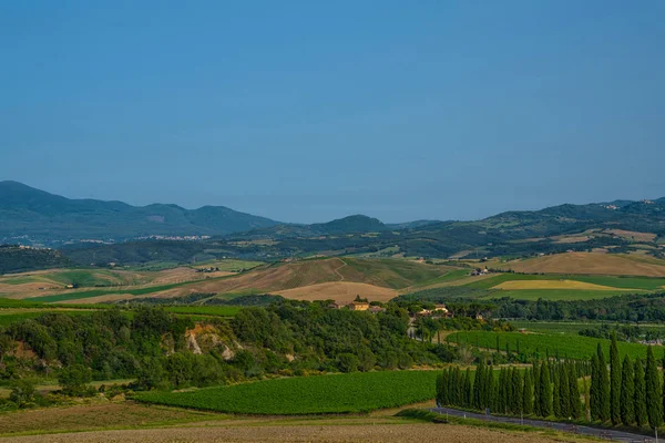 Vue Campagne Typiquement Toscane Avec Cyprès Vignoble Italie — Photo