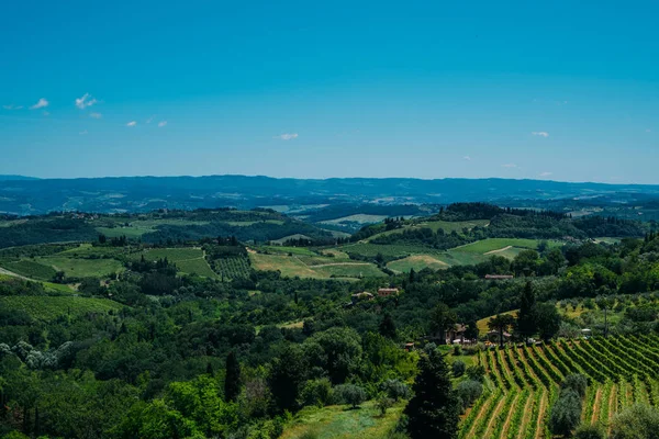 포도원의 아름다운 키안티 지미냐노 San Gimignano 시골과 키안티 베르나치아 포도원의 — 스톡 사진