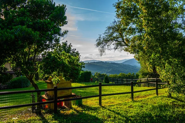 Paisaje Idílico Toscana Campo Italiano Atardecer —  Fotos de Stock