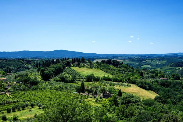 Oblast Chianti Letní Sezóně Pohled Krajinu Vinice Chianti San Gimignano — Stock fotografie