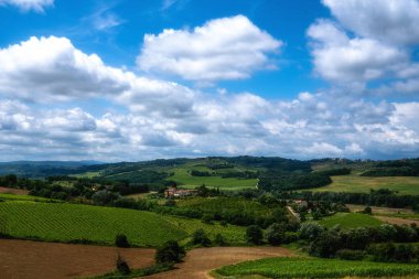 Üzüm ve zeytin tarlaları. İtalya'da tarım, Toskana. Turizm, İtalya'da seyahat. Güzel hedef Avrupa. Yaz tatili açık tatil gezisi.