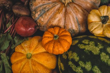 Kabak, sebze ve meyve ile Sonbahar arka plan. Sonbahar hasadı. Mevsimlik teklifler için mockup. Üstte görüntü.