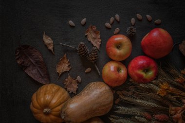 Olgun kırmızı elma ile kabak içinde belgili tanımlık geçmiş. Sarı çiçek, meyve ve sebze sonbahar kökenli. Sonbahar sezonu, çevre gıda ve hasat kavramı. Seçici odak. Tonlu görüntü. Üstten görünüm.