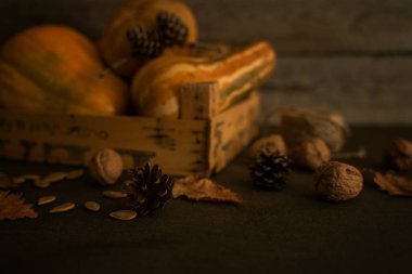 Sonbahar, sonbahar yaprakları, kabak çekirdeği, koniler, eski ahşap kutu ve ahşap masa arka plan üzerinde olgun sonbahar sebze. Mevsimlik, ılık sonbahar rahatlatıcı ve natürmort konsepti. Seçici odak. Tonlu görüntü.