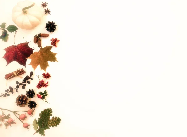 Őszi Levelek Összetétele Makk Fenyőtobozok Pumkin Természet Koncepciójának Háttere Lapos — Stock Fotó