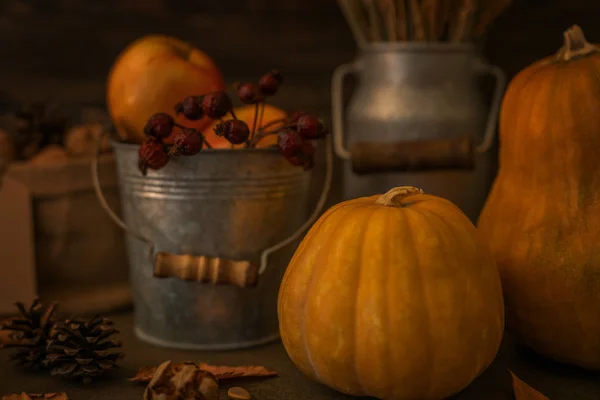 Schönes Herbstliches Gemütliches Stillleben Kürbisse Herbstblätter Äpfel Und Ähren Auf — Stockfoto