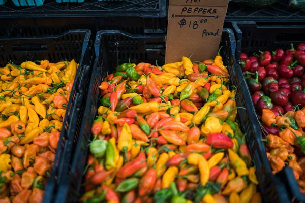 農家の市場カリフォルニア アメリカ 新鮮なオーガニック食品市場のコンセプト 市場での販売のためのチリ 農家の店で展示されるカラフルな唐辛子 有機野菜バイオ エコフード — ストック写真