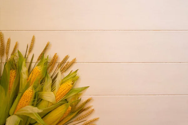 Ears of golden wheat and ears of corn on the rustic wooden table. Organic products. Food background. Rich harvest concept. Flat lay with copy space. Toned image.