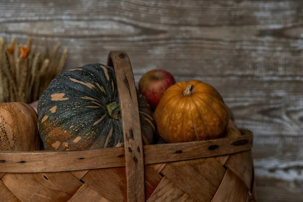 Légumes Automne Colorés Sur Les Planches Vintage Décorations Automne Panier — Photo