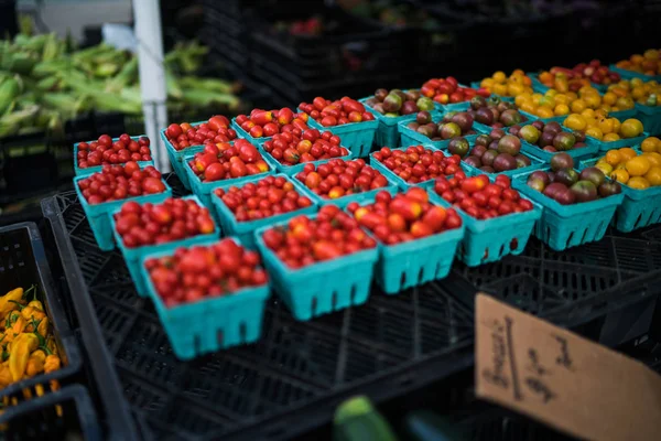 紙容器に野菜農家の市場で販売する準備ができてトマトチェリーをパックしました 市場に展示しているトマトブドウ エコ製品 環境概念の生態と保全 — ストック写真