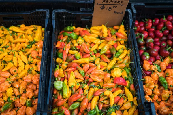 Farmer Market Califórnia Eua Conceito Mercado Alimentos Orgânicos Frescos Chilli — Fotografia de Stock