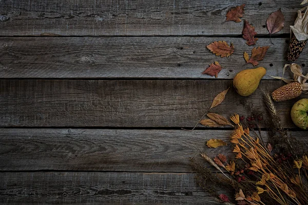 Herbstmais Kürbisse Und Verblasstes Laub Flachen Blick Auf Rustikales Vintage — Stockfoto