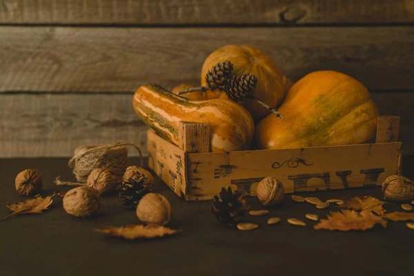 Autumn Fall Leaves Pumpkin Seeds Cones Old Wooden Box Ripe — Stock Photo, Image