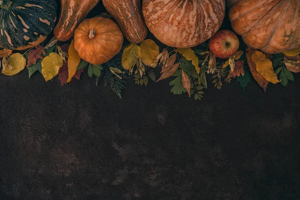 Sarı yaprakları, kırmızı elma ve kabak ile Sonbahar arka plan. Fotokopi alanı ile yaşlı ahşap sonbahar hasat sınırı. Sezonluk teklifler ve sonbahar yemekleri için maket, fotokopi alanı ile en iyi görünüm. Tonlu görüntü.