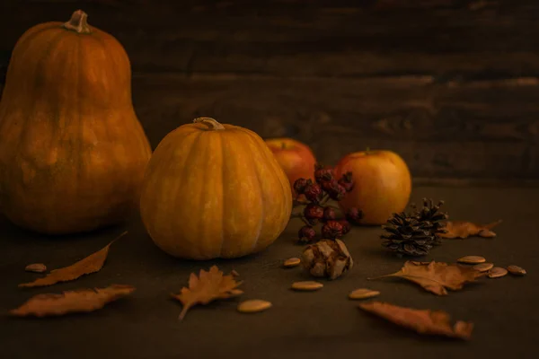 Schönes Herbstliches Gemütliches Stillleben Kürbisse Herbstblätter Äpfel Und Zapfen Auf — Stockfoto