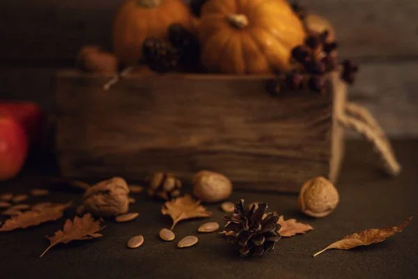 Bio Lebensmittel Frisches Gemüse Und Obst Alten Schachteln Auf Dem — Stockfoto