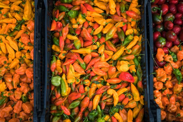 Farmer Market Califórnia Eua Conceito Mercado Alimentos Orgânicos Frescos Chilli — Fotografia de Stock