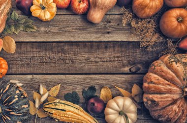 Sonbahar çerçeve sağlıklı vejetaryenler gıda. Yemek arka planı. Şükran Günü yemeği için malzemeler. Mısır, kabak, ahşap masa üzerinde meyve, üst görünümü.