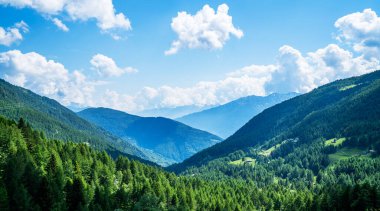 Güzel bir doğa geçmişi var. Dağlardaki harika bahar manzarası. Ormanlı dağ yamaçları alçak bulutlar içinde ebedi yeşil kozalaklı manzaralı..