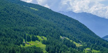 Güzel bir doğa geçmişi var. Dağlardaki harika bahar manzarası. Ormanlı dağ yamaçları alçak bulutlar içinde ebedi yeşil kozalaklı manzaralı..
